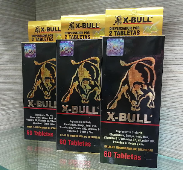 X-BULL-X-60.jpg